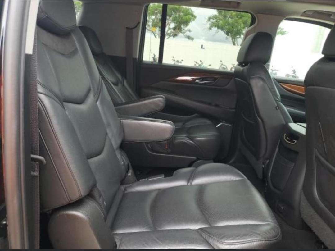 19/20 Cadillac Escalade — photo 11