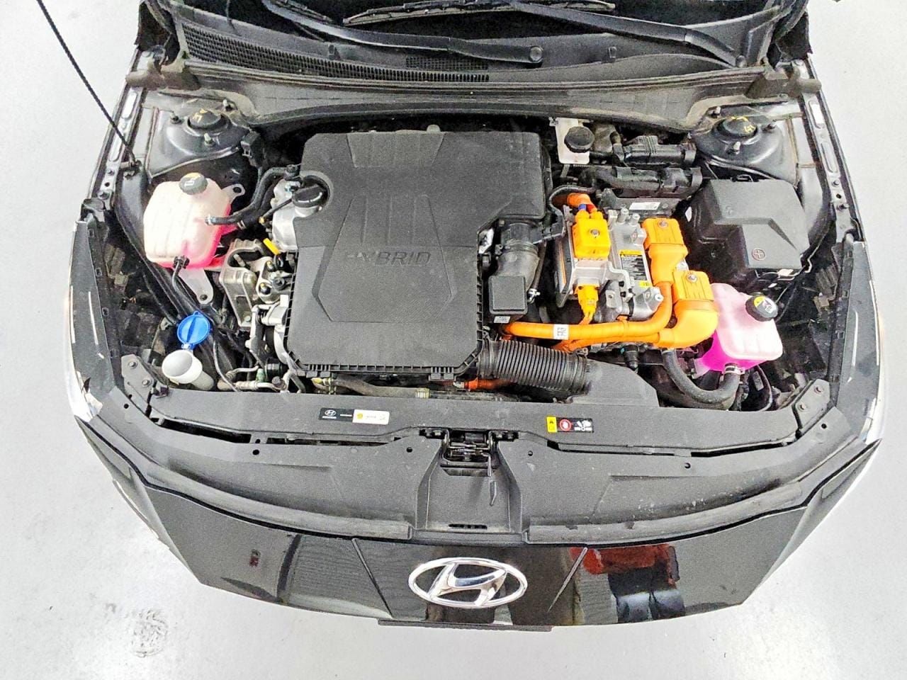 2023 Hyundai Elantra (Pre-Order) — photo 4