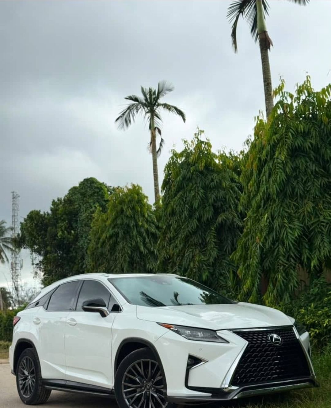 2017 Lexus Rx350 — photo 1