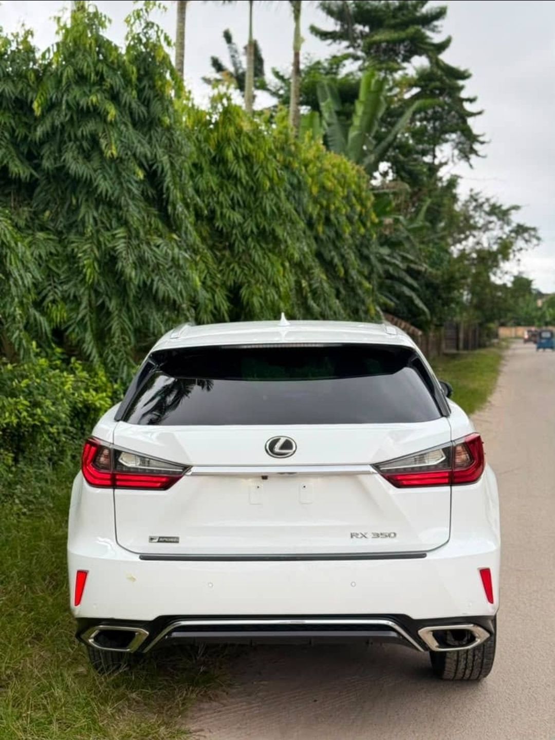 2017 Lexus Rx350 — photo 4